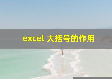 excel 大括号的作用